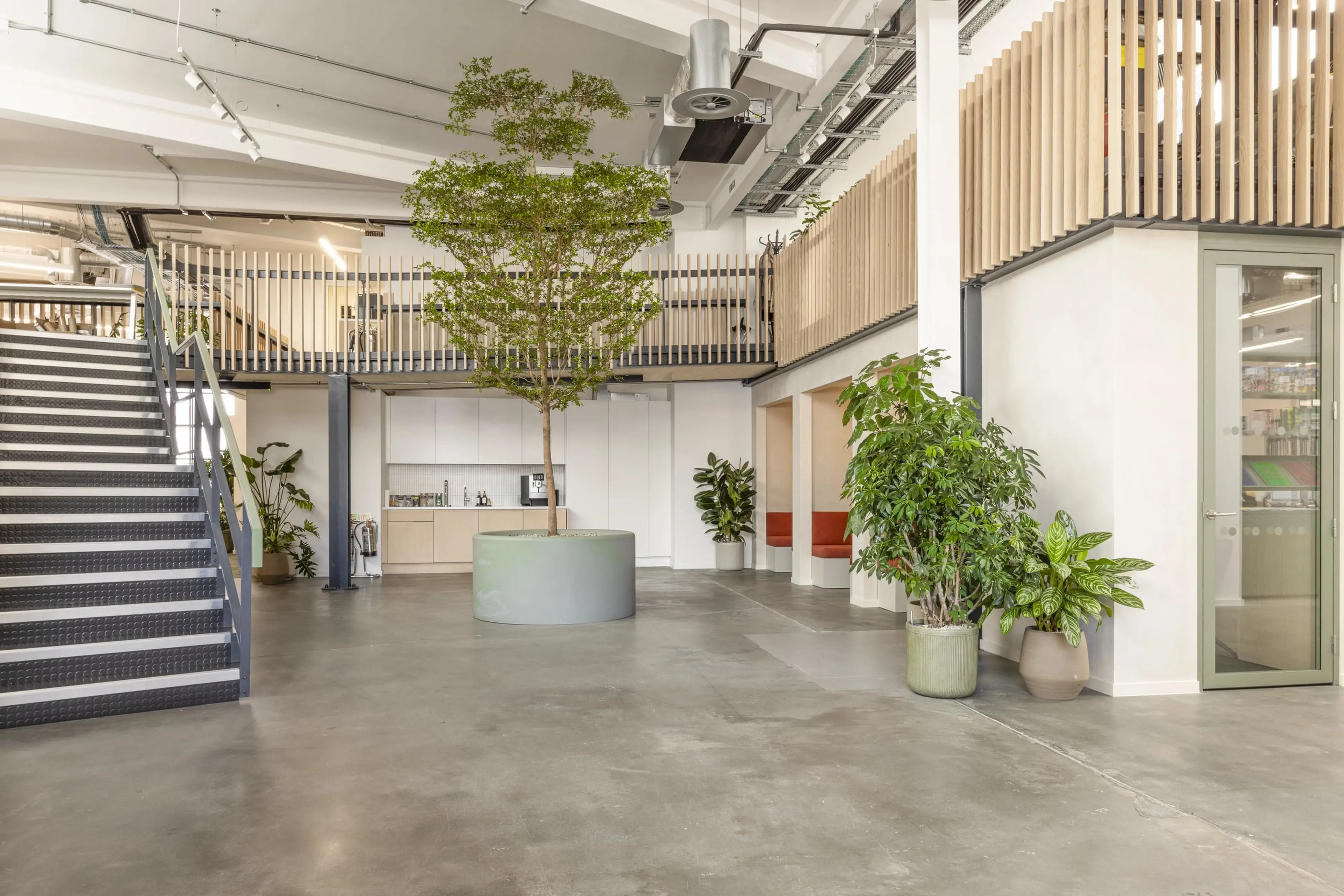 An open office space with a number of plants filling the space.