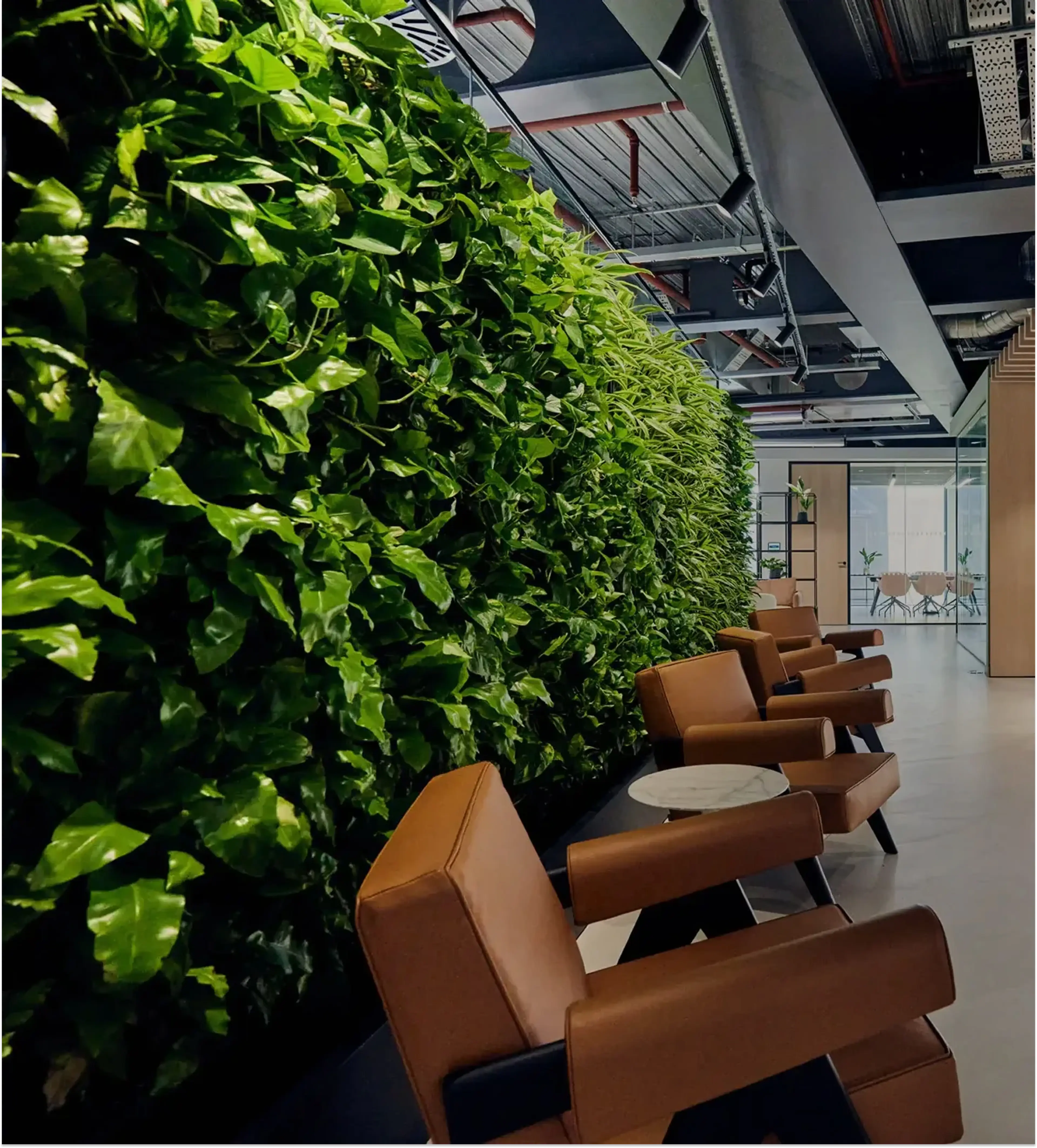 A living wall in an office foyer