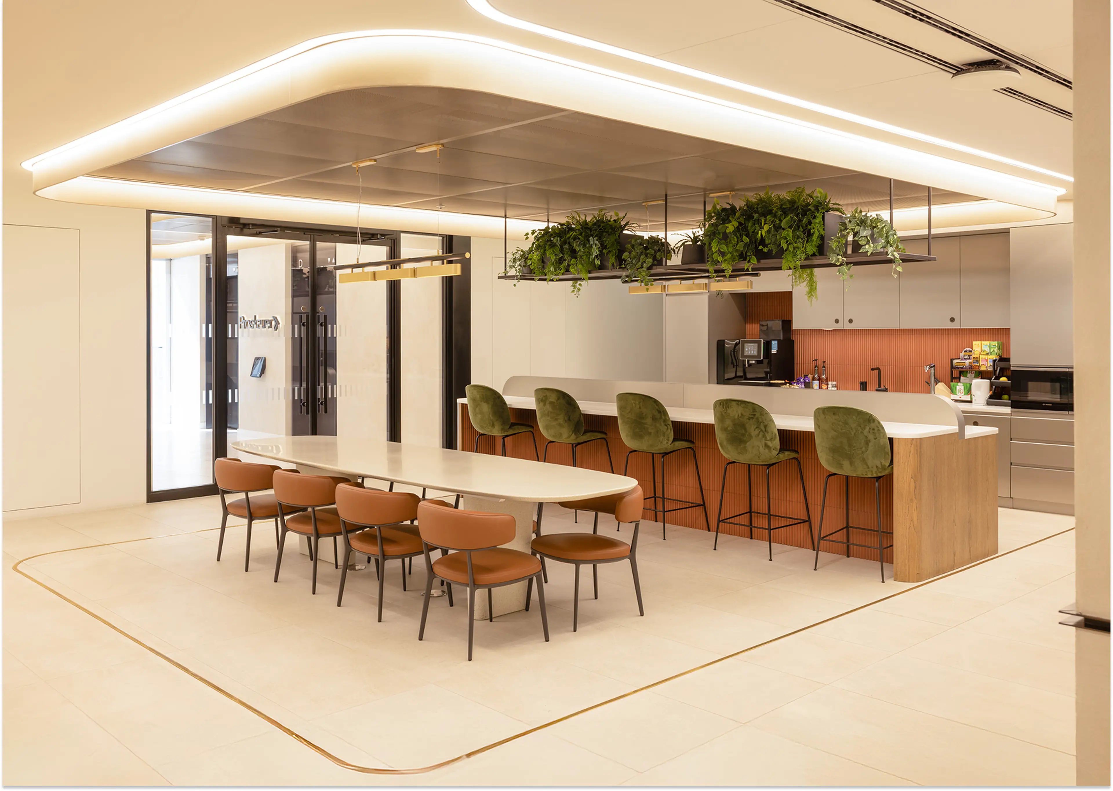 Hanging plants in a communal office kitchen area that is brightly, warmly lit.