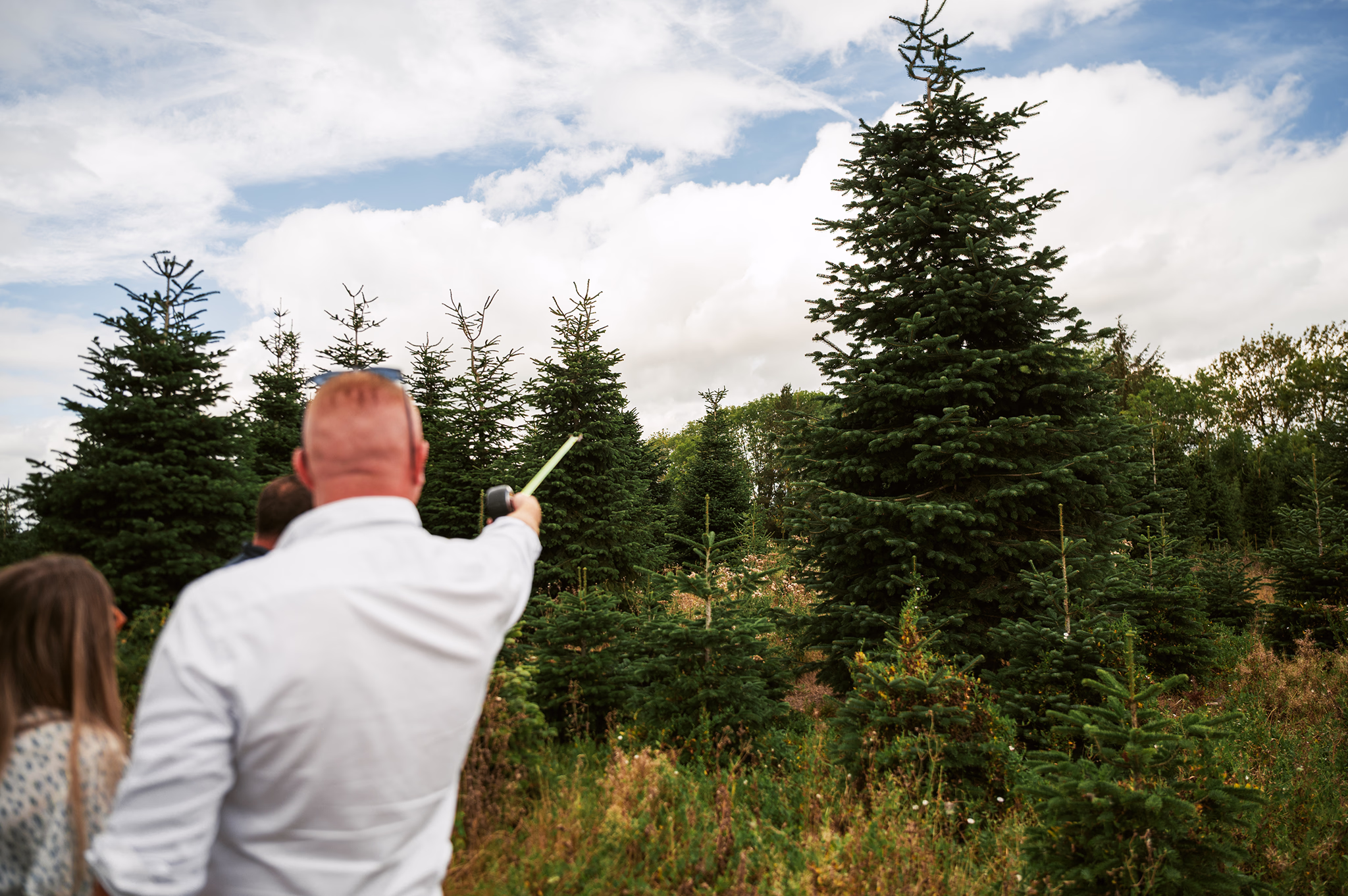 Mana pointing at large fir trees from a christmas tree farm