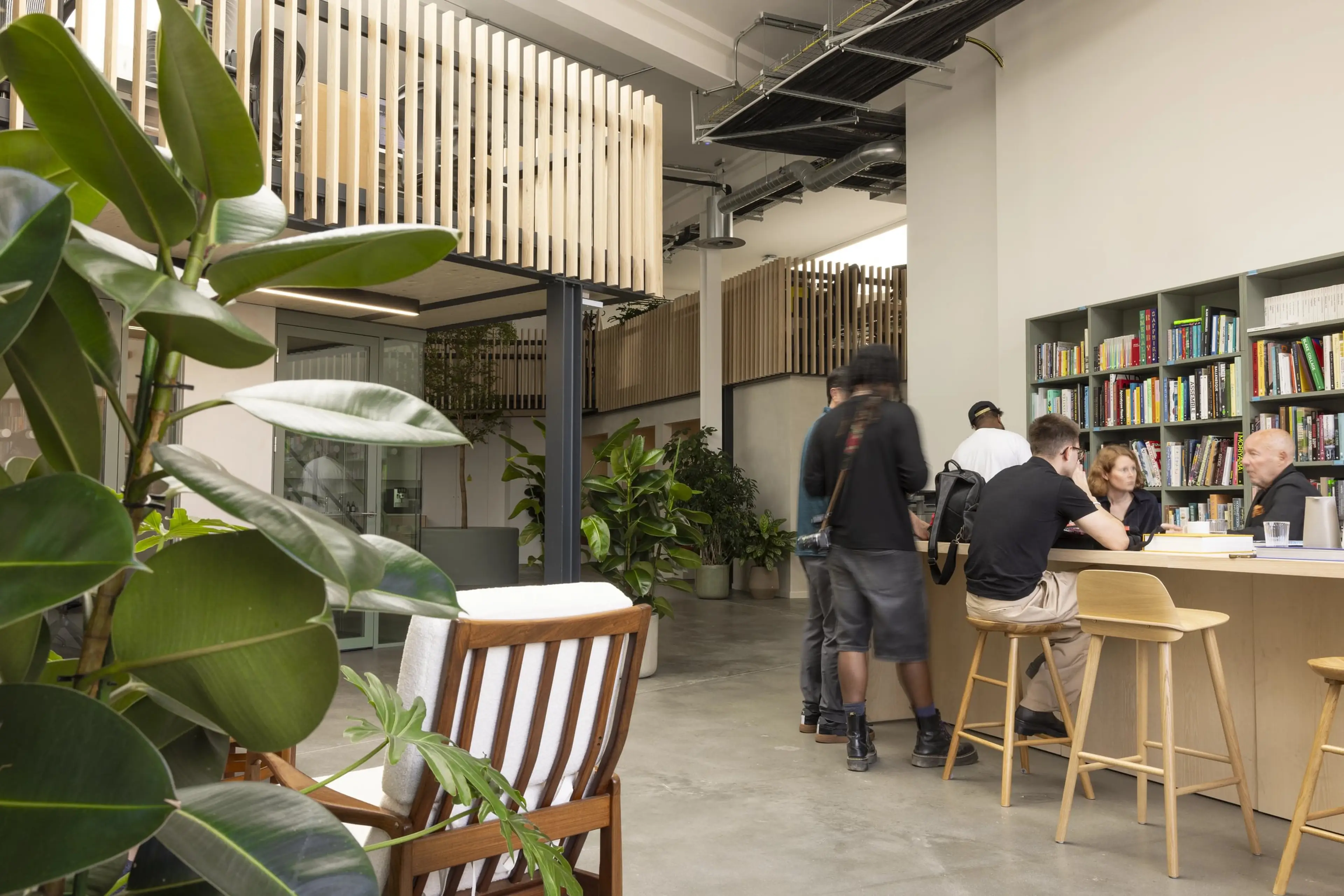An office breakout space filled with lush green floor plants
