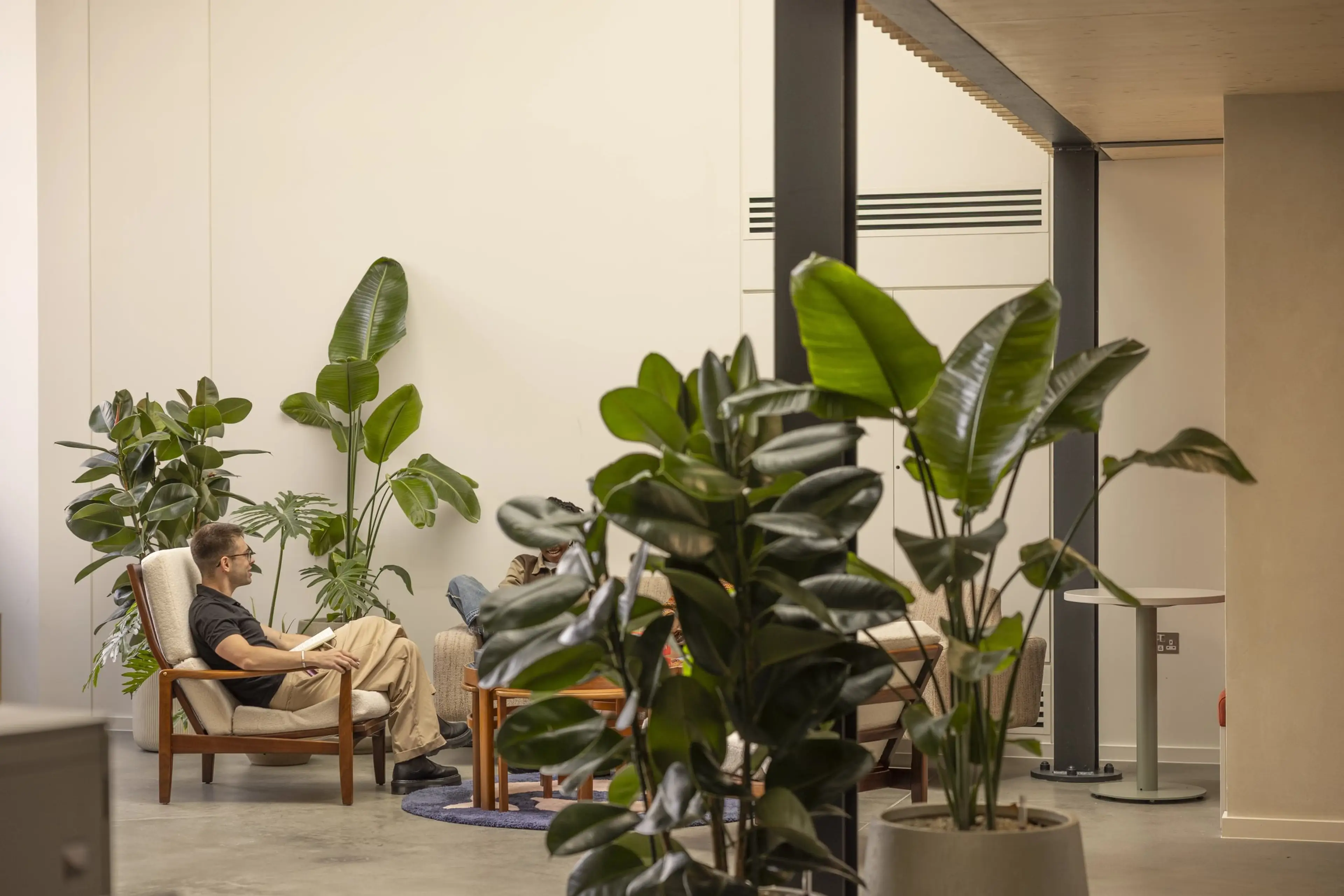 A man sitting in a communal office space, surrounded by floor standing office plants.
