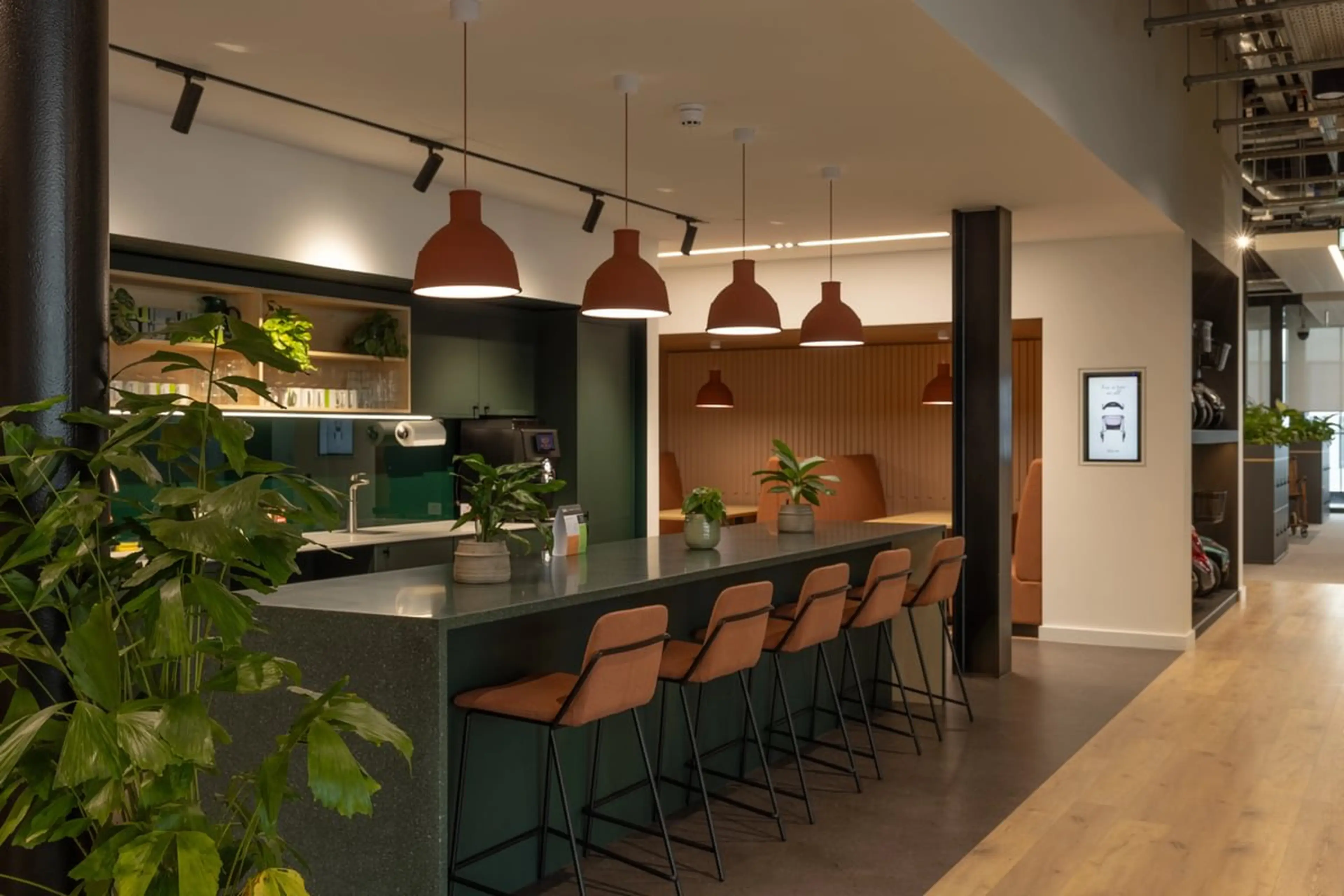 An office kitchen with desktop and shelf planting