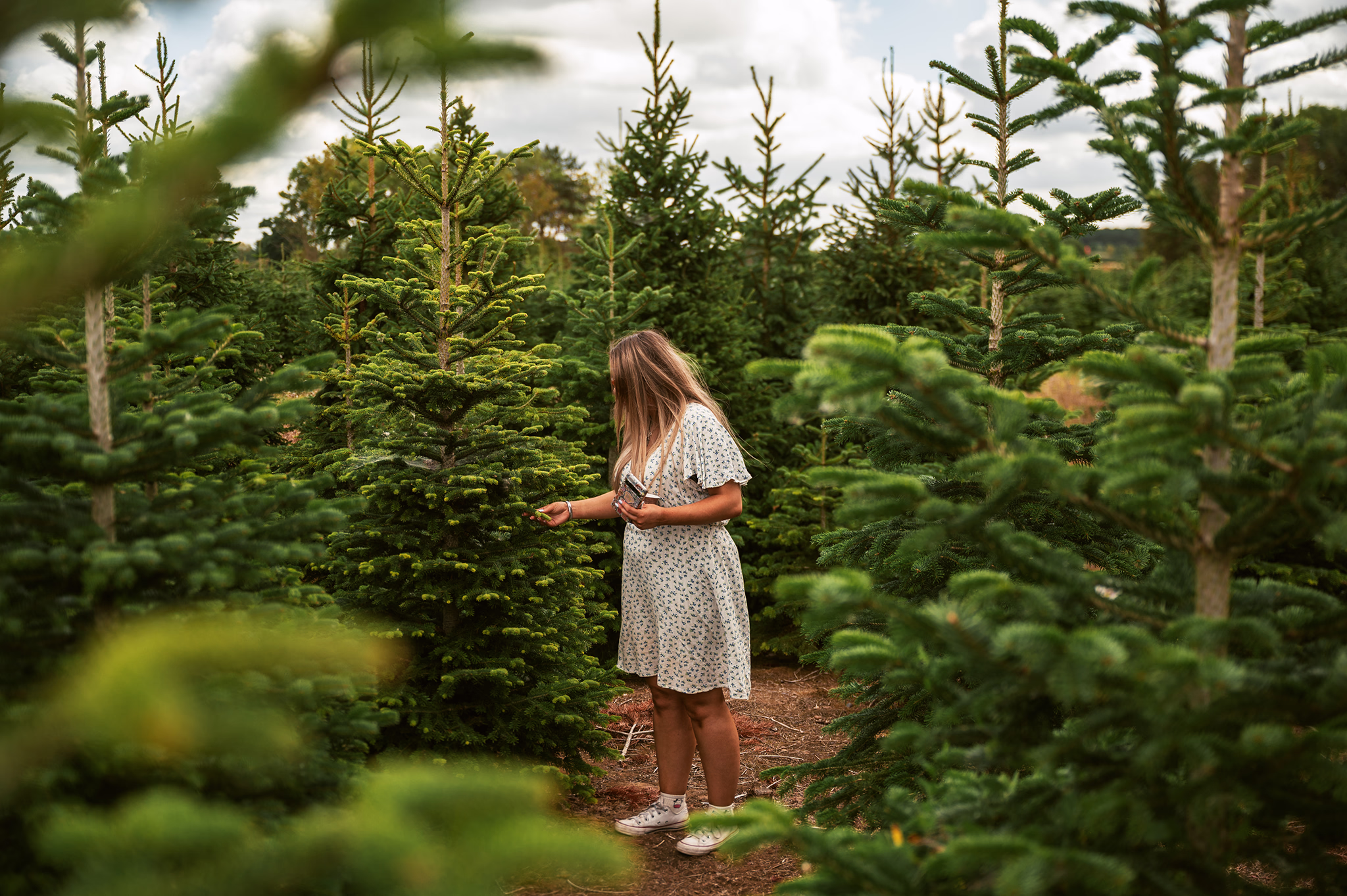 A woman in the background with fir branches in the foreground