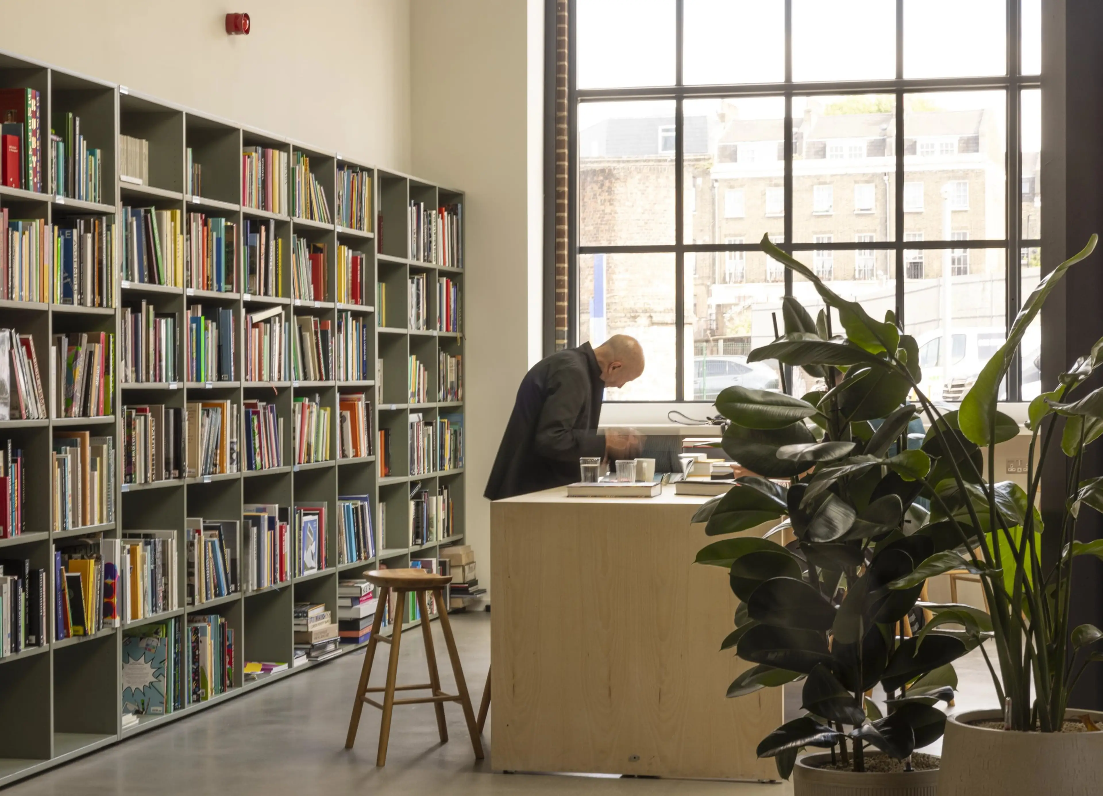A man at a standing desk with a bookcase behind him. Floor standing plants in the foreground