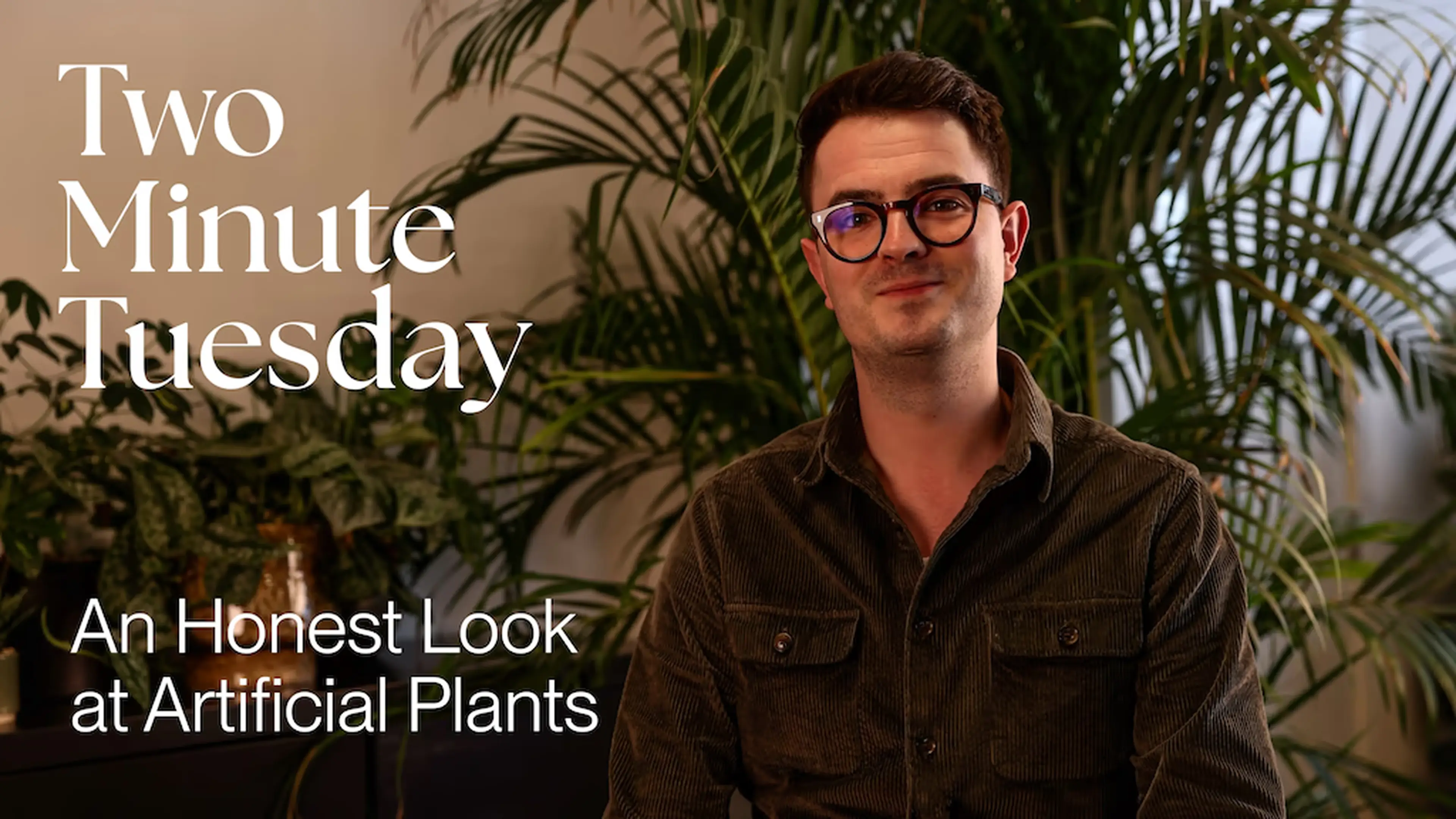 Two Minute Tuesday: An Honest Look at Artificial Plants