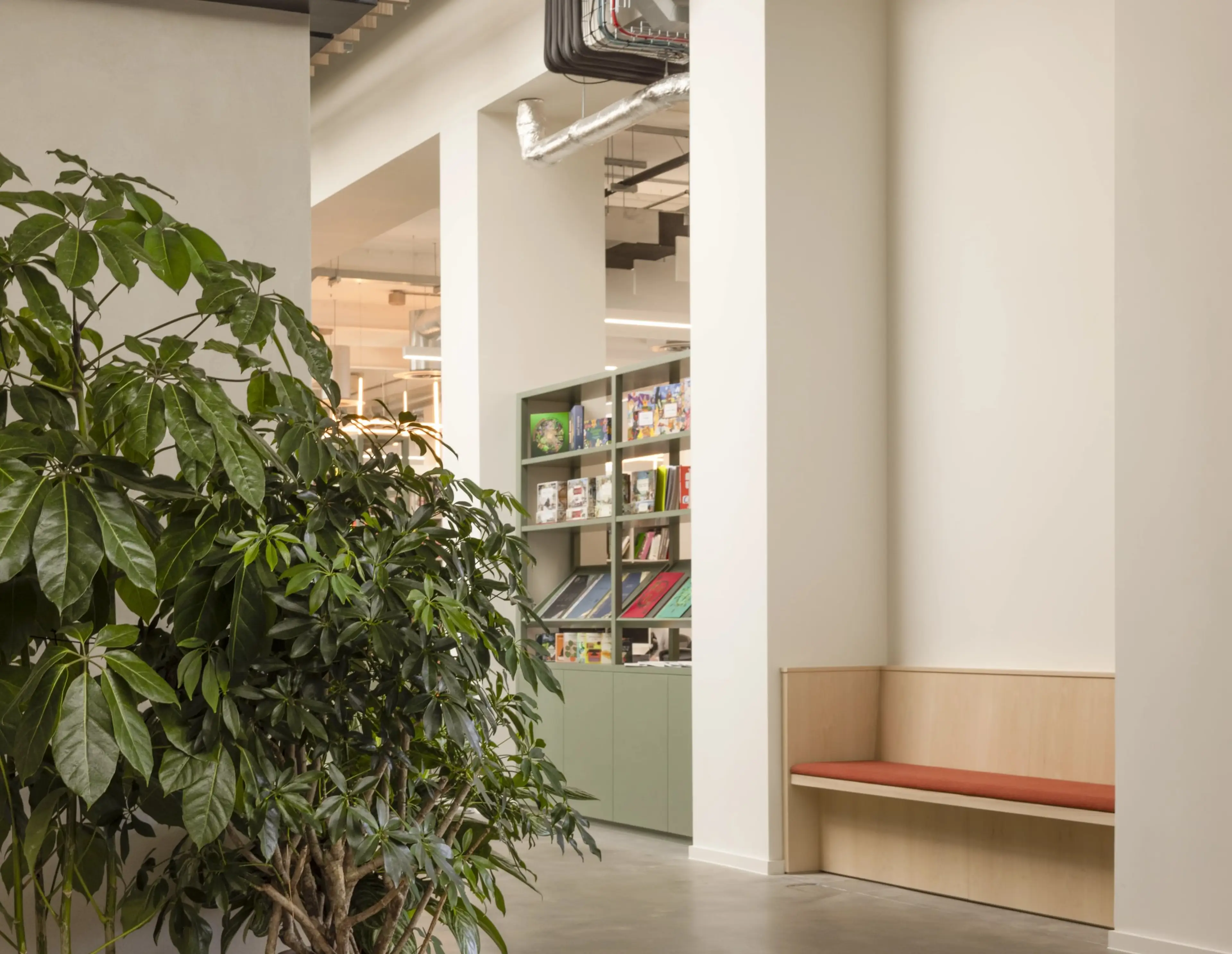 A bright corner of a publishers office, with an indoor tree in the foreground.