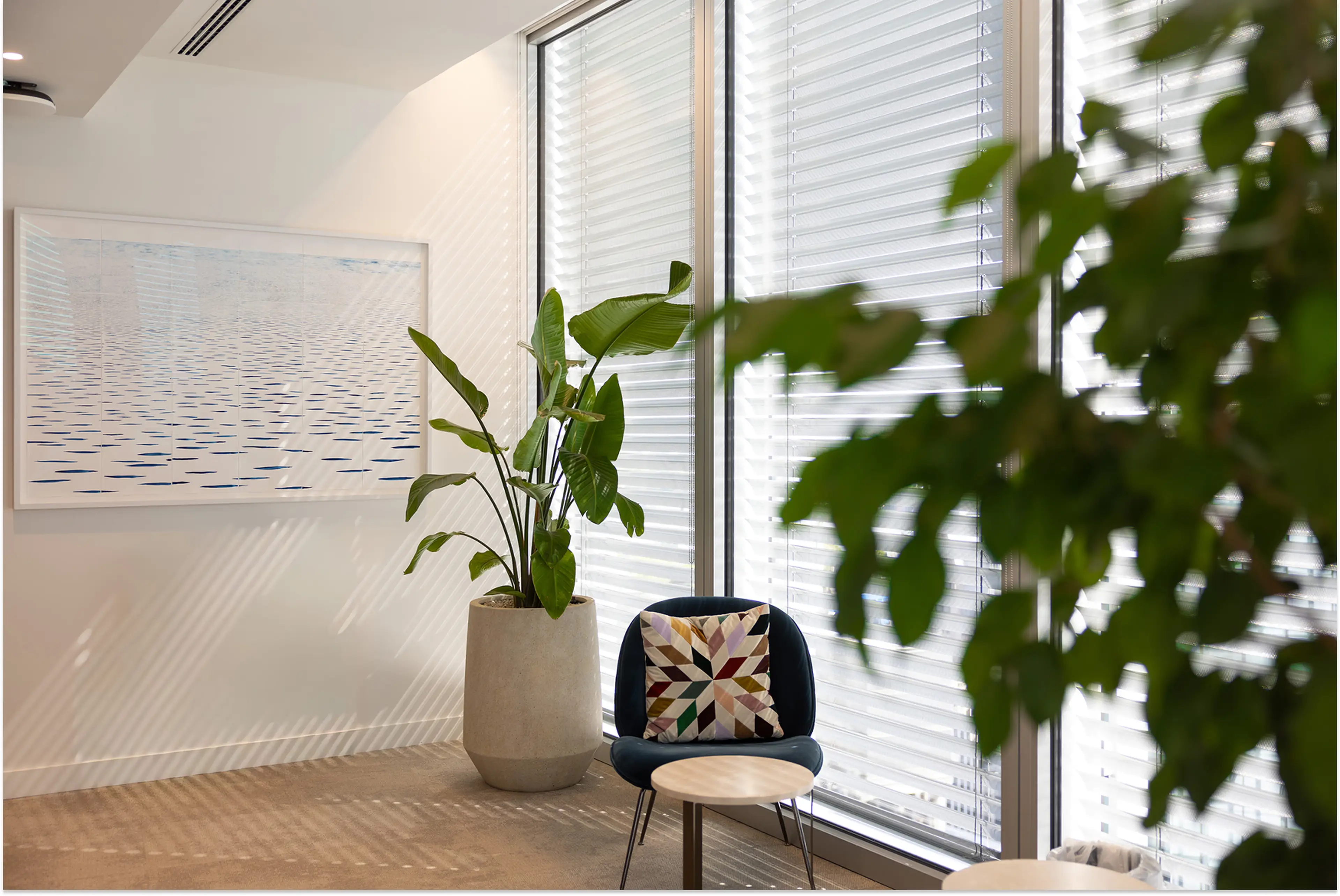 Standing plants in the foreground and background, with an office breakout space in the middle inbetween