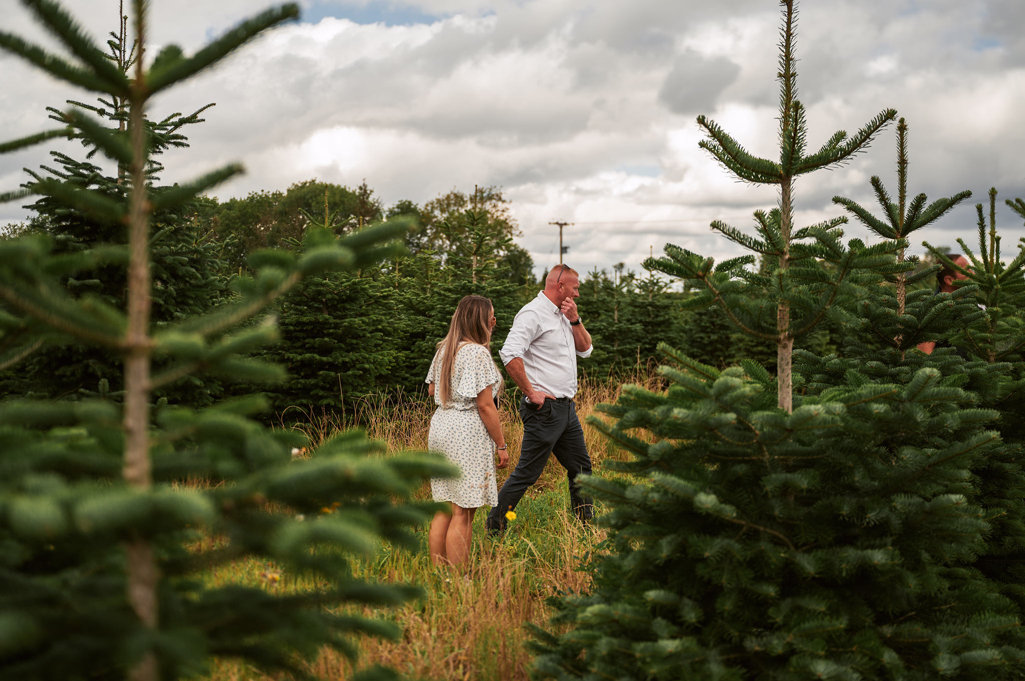Two people walking between ferns for a christmas tree fern