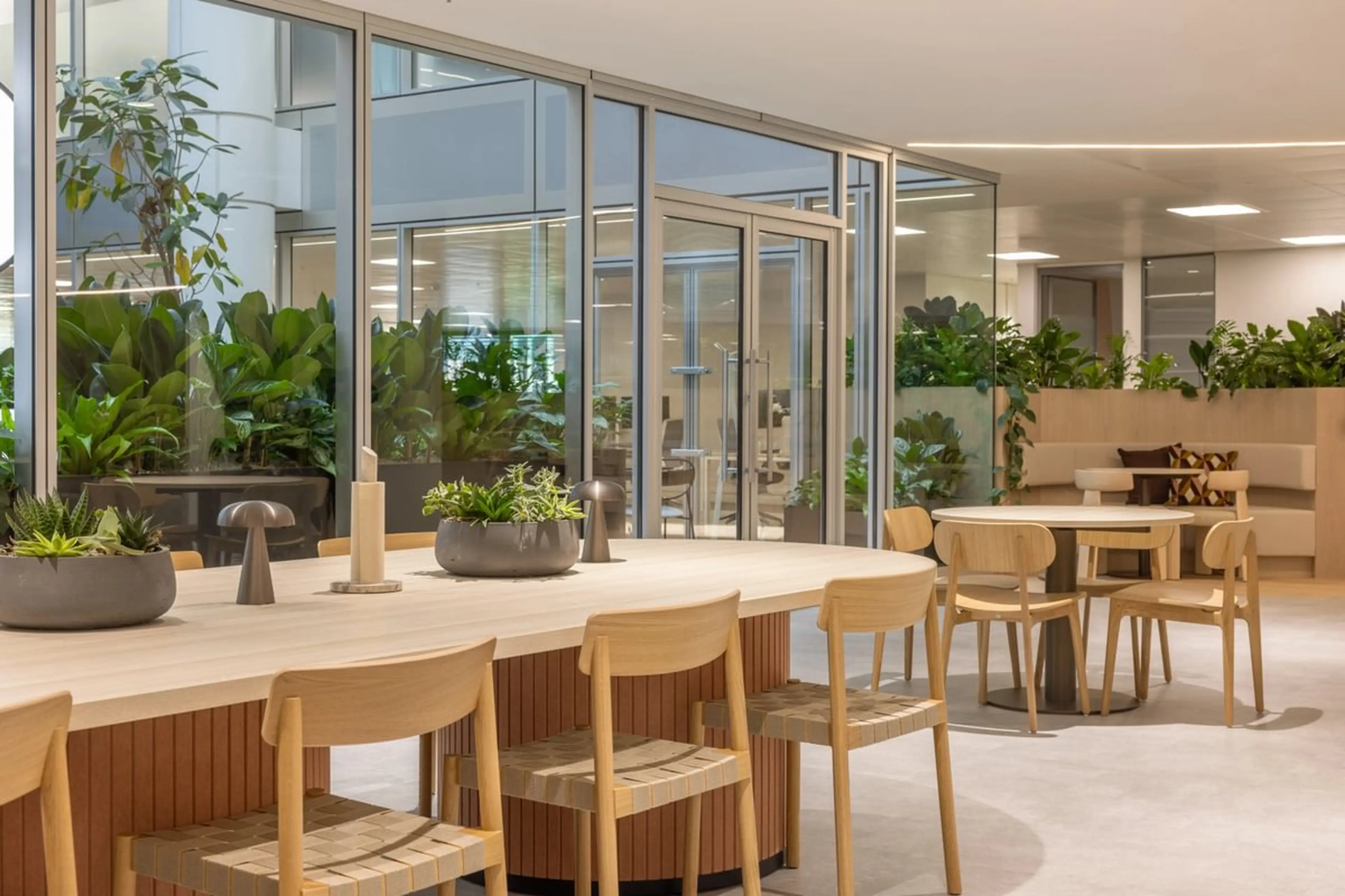 Natural wooden seating with desk planting and lush plants in the background