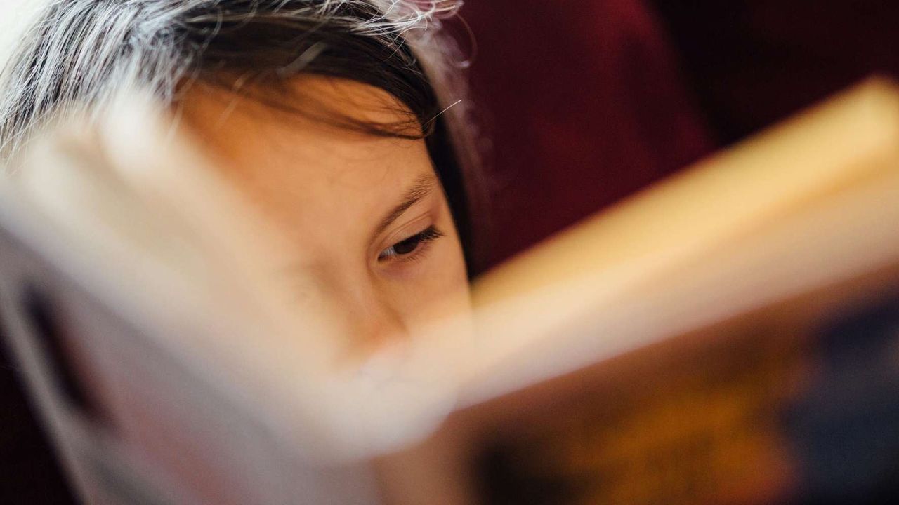 Child intently reading a book