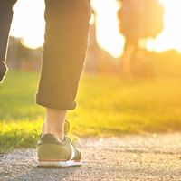 Woman walking in the park. Close-up of shoe. Sunset.