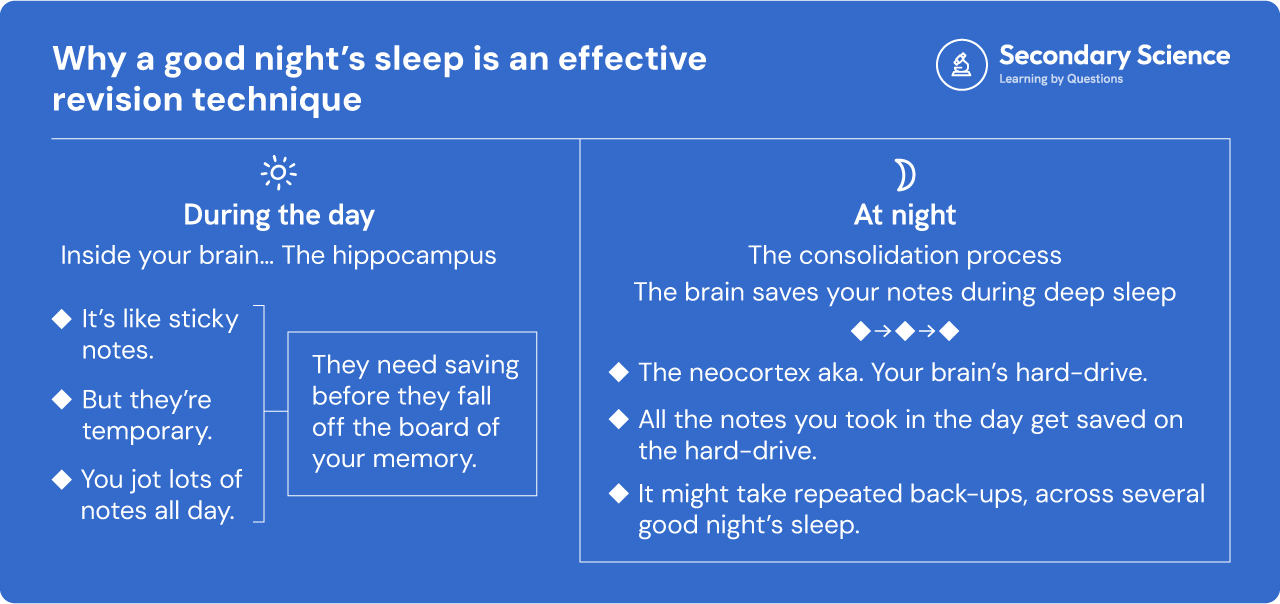 A diagram/explanation for why a good night's sleep is an effective revision technique, explaining what happens in the hippocampus during the day.