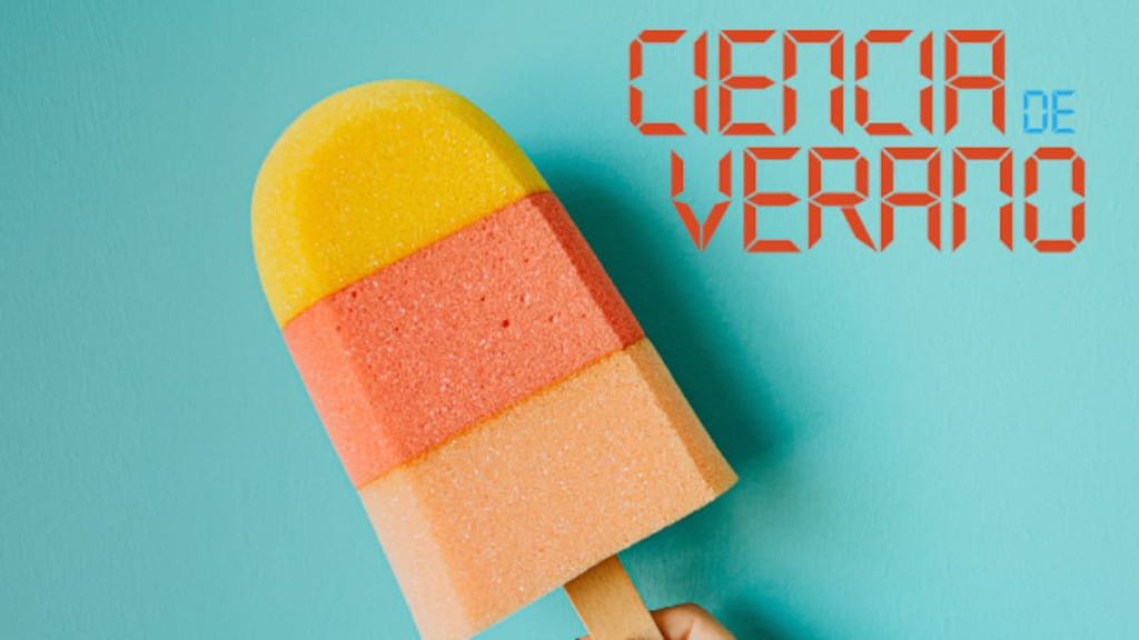 ciencia-en-verano