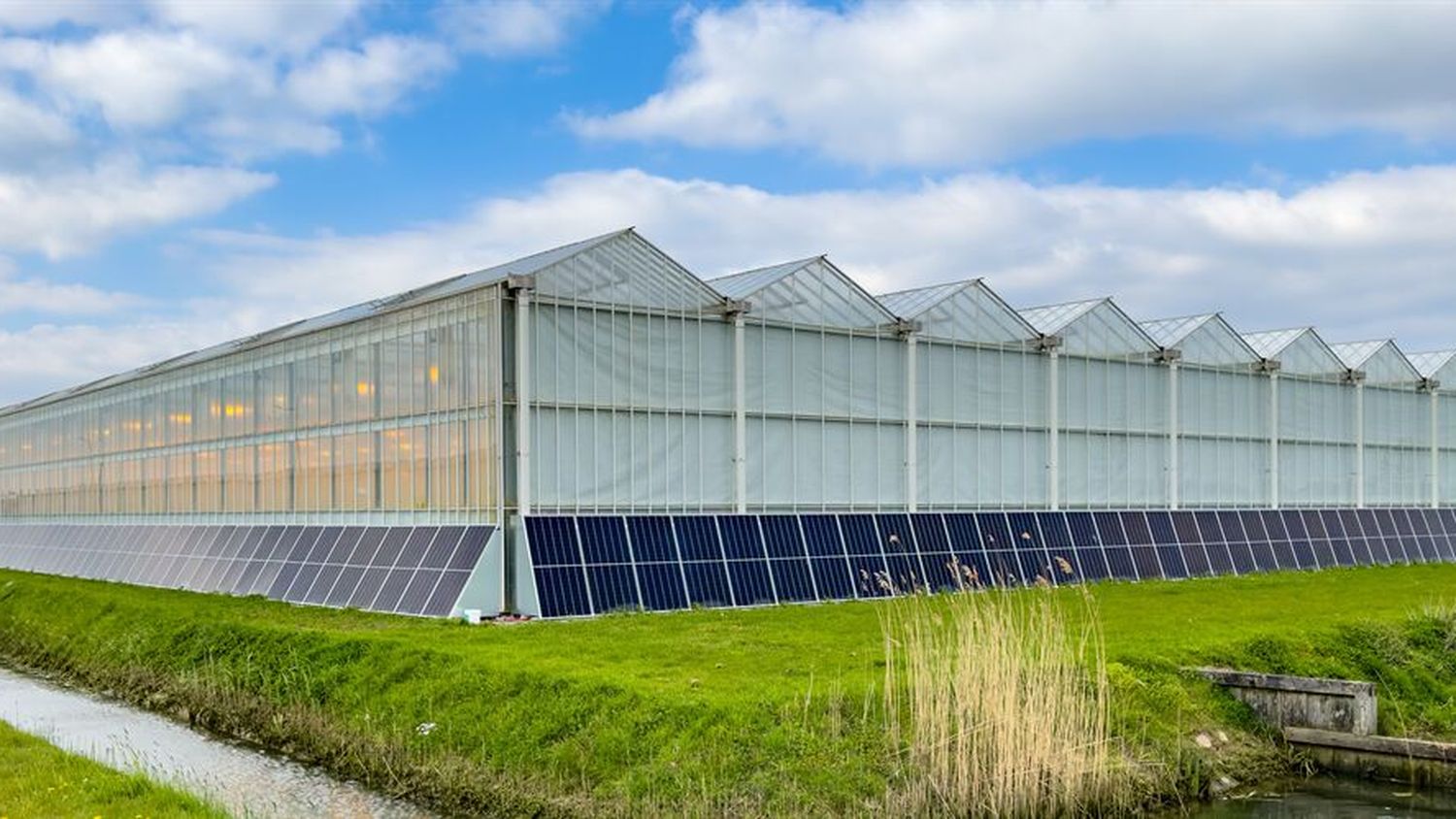 NEXTgarden Lingewaard