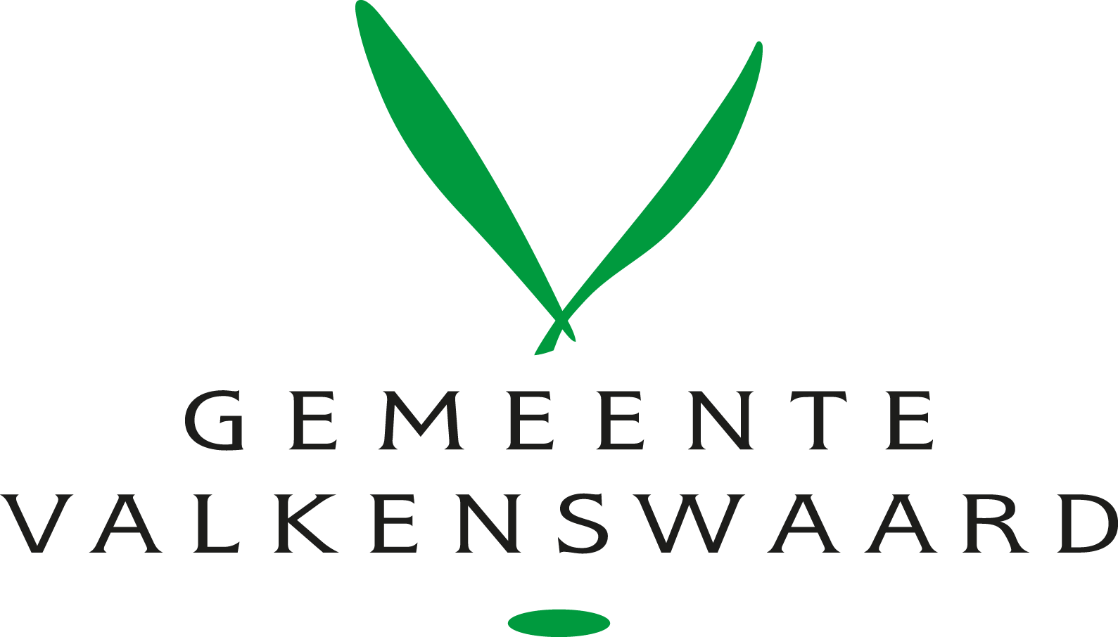 Logo Valkenswaard