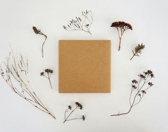 Brown cork square on white background, surrounded by dried plants; minimal, natural decor.