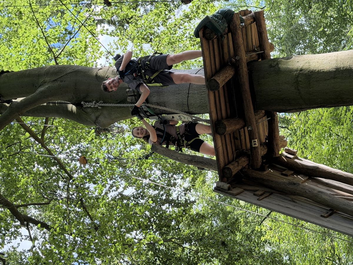 Two people high-fiving on a tree platform in an outdoor adventure park.