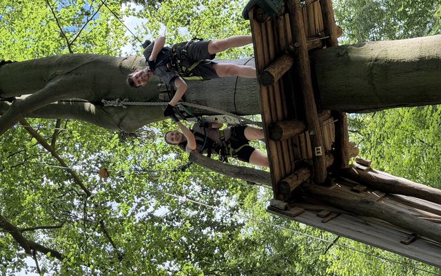 Two people high-fiving on a tree platform in an outdoor adventure park.
