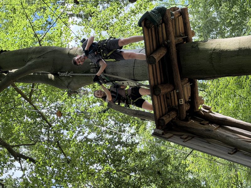 Two people high-fiving on a tree platform in an outdoor adventure park.