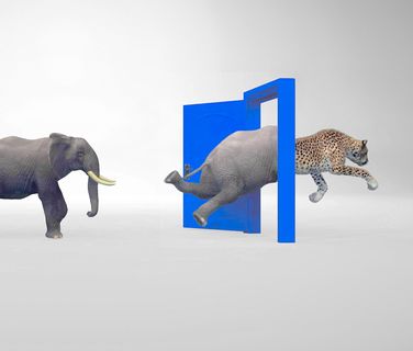 An elephant enters a blue door and transforms into a leaping cheetah, symbolizing change.