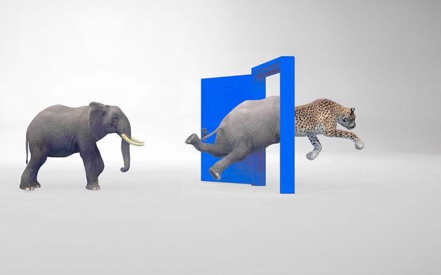 An elephant enters a blue door and transforms into a leaping cheetah, symbolizing change.