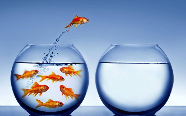 A goldfish jumps from a crowded bowl to an empty one, symbolizing turnover and change.