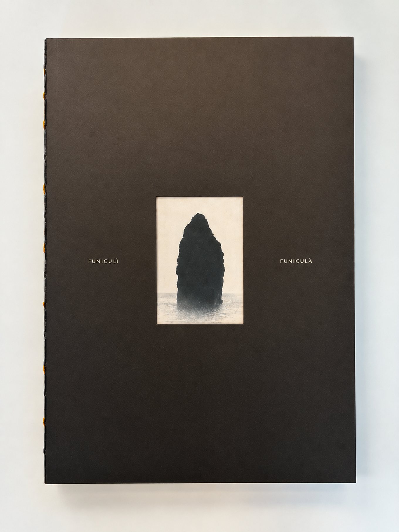 A dark book cover featuring a small, centered photograph of a tall rock formation in misty waters, with the text "Funiculi Funicula" on either side.