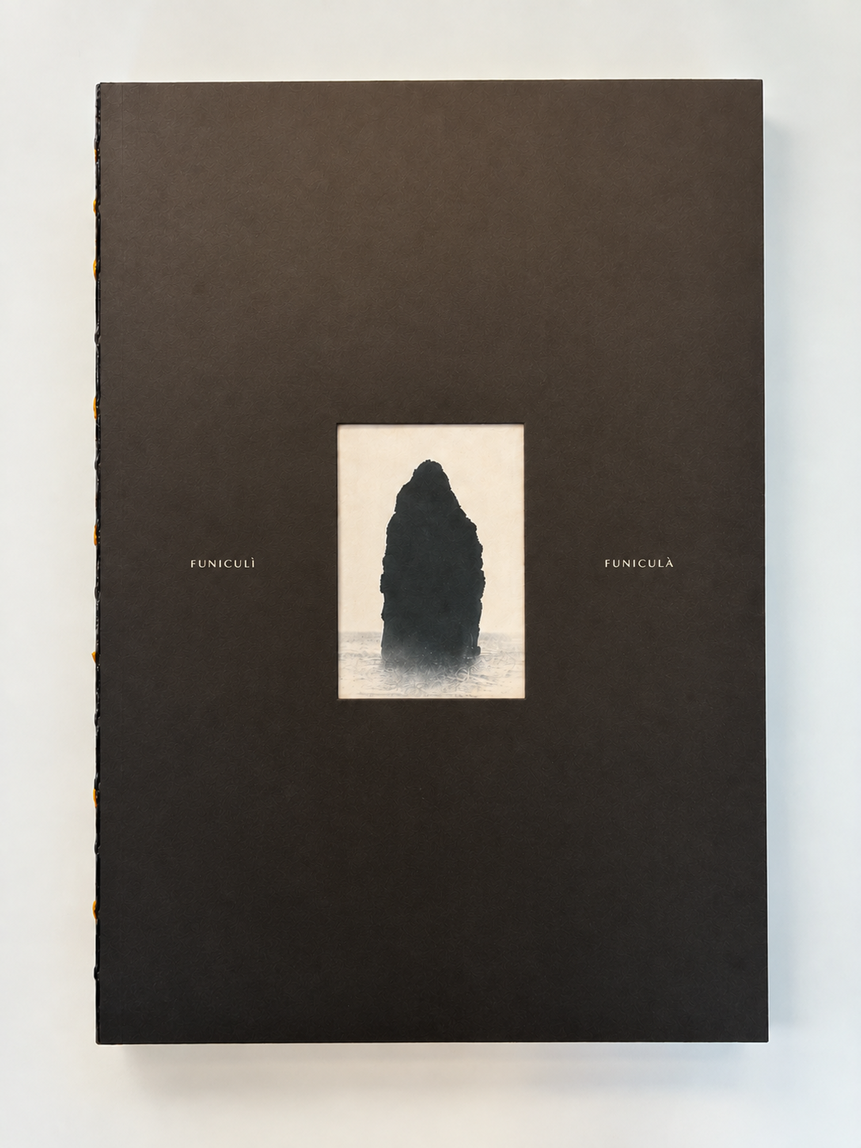 A dark book cover featuring a small, centered photograph of a tall rock formation in misty waters, with the text "Funiculi Funicula" on either side.