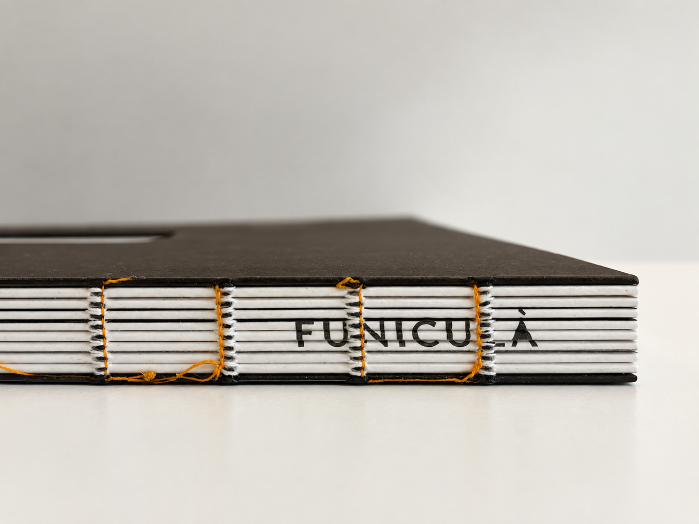A dark book cover featuring a small, centered photograph of a tall rock formation in misty waters, with the text "Funiculi Funicula" on either side.