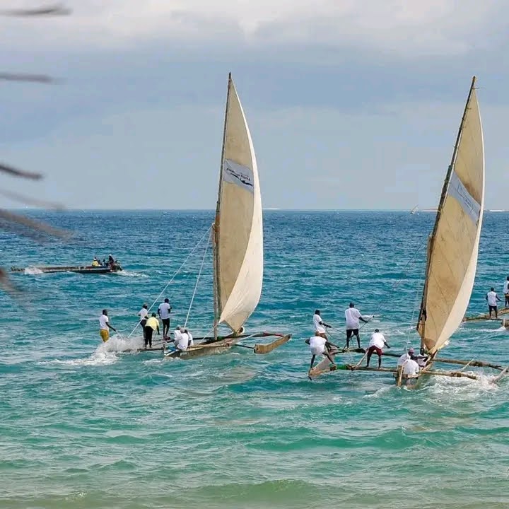 Dhow Race: One of the most anticipated events of the Zanzibar International Film Festival!