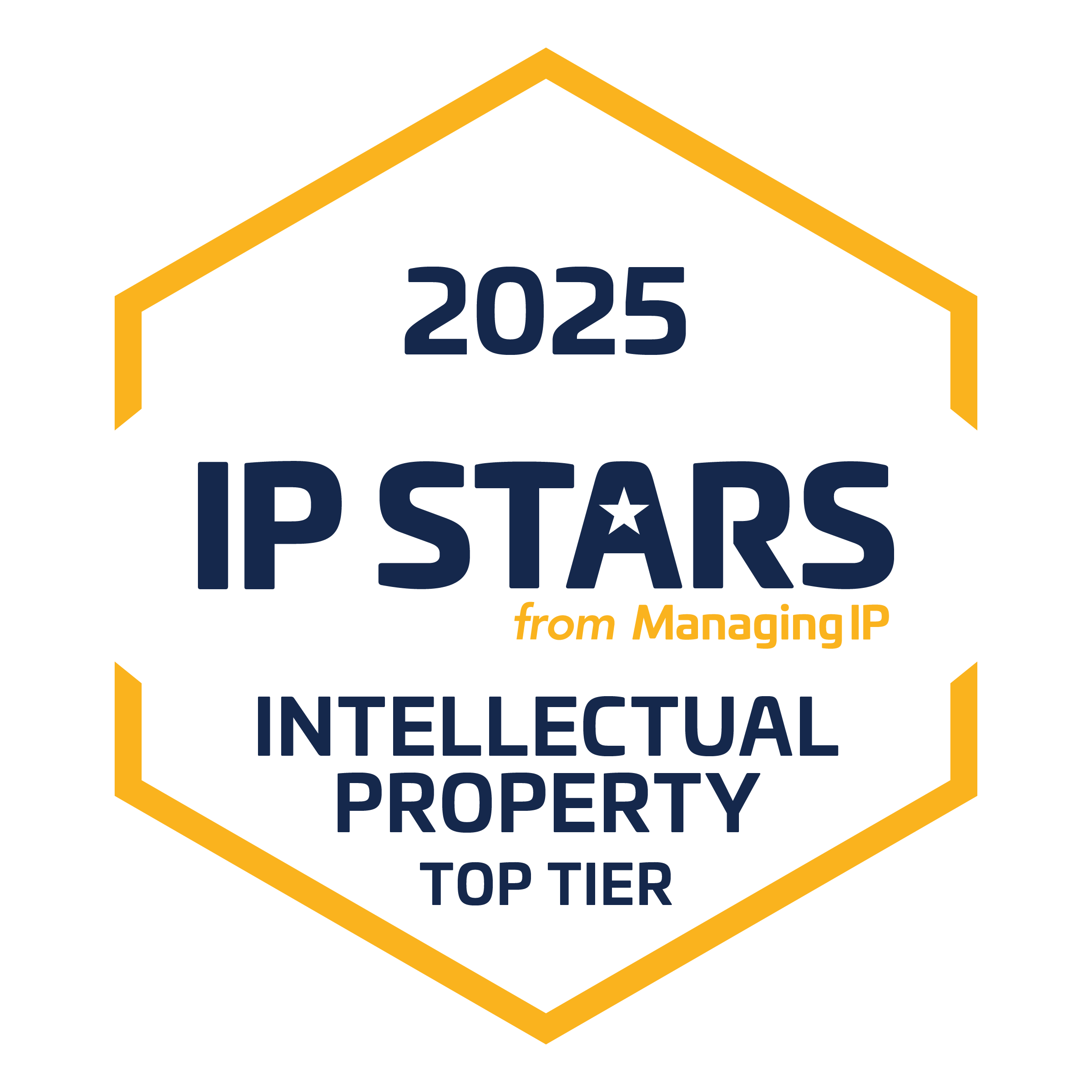IP Star - Top Tier (Intellectual Property) 2025