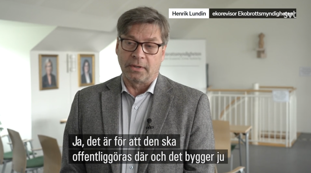 Henrik Lundin, Ekorevisor Ekobrottsmyndigheten