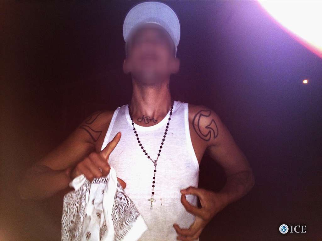 Svenskarna vill kunna ta ifrån gängkriminella medborgarskapet