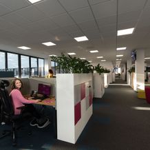 A modern office with people working at desks, featuring large windows, indoor plants, and bright lighting.