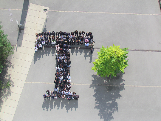 Aerial view of a group of people forming the letter "T" on a paved surface next to a green tree.