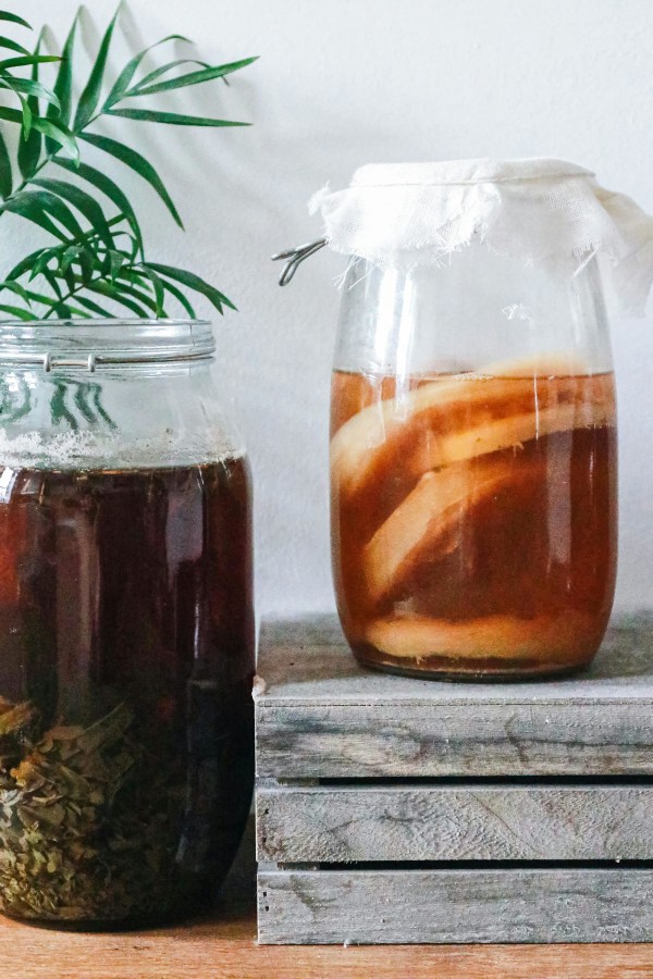 Jarre de kombucha riche en probiotiques naturels