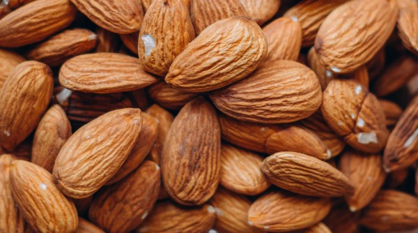 Gros plan sur des amandes, comme exemples d'oléagineux
