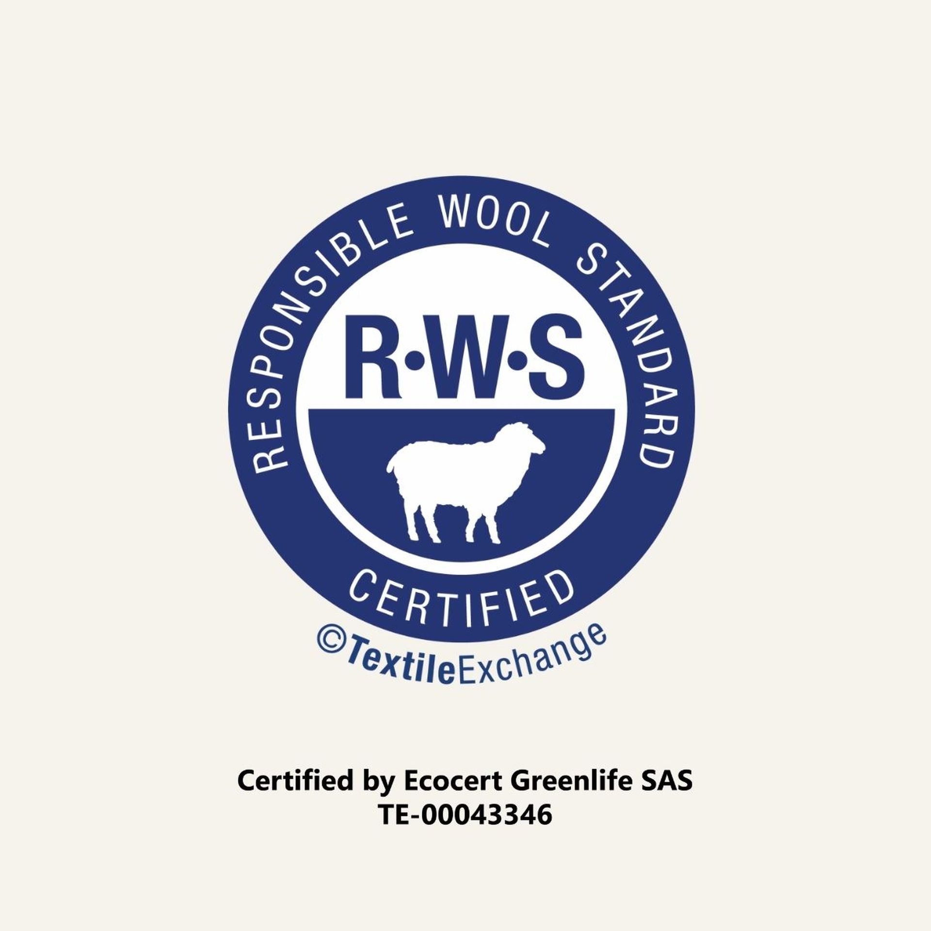 RWS Logo