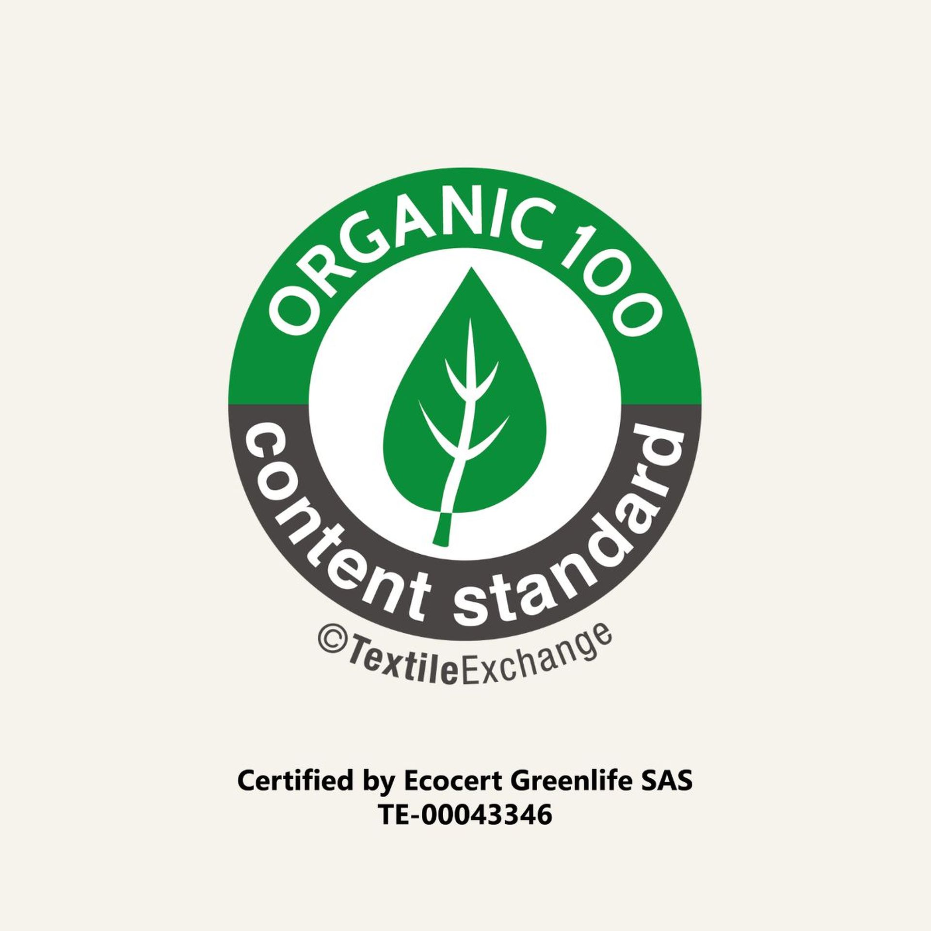 OCS 100 Logo