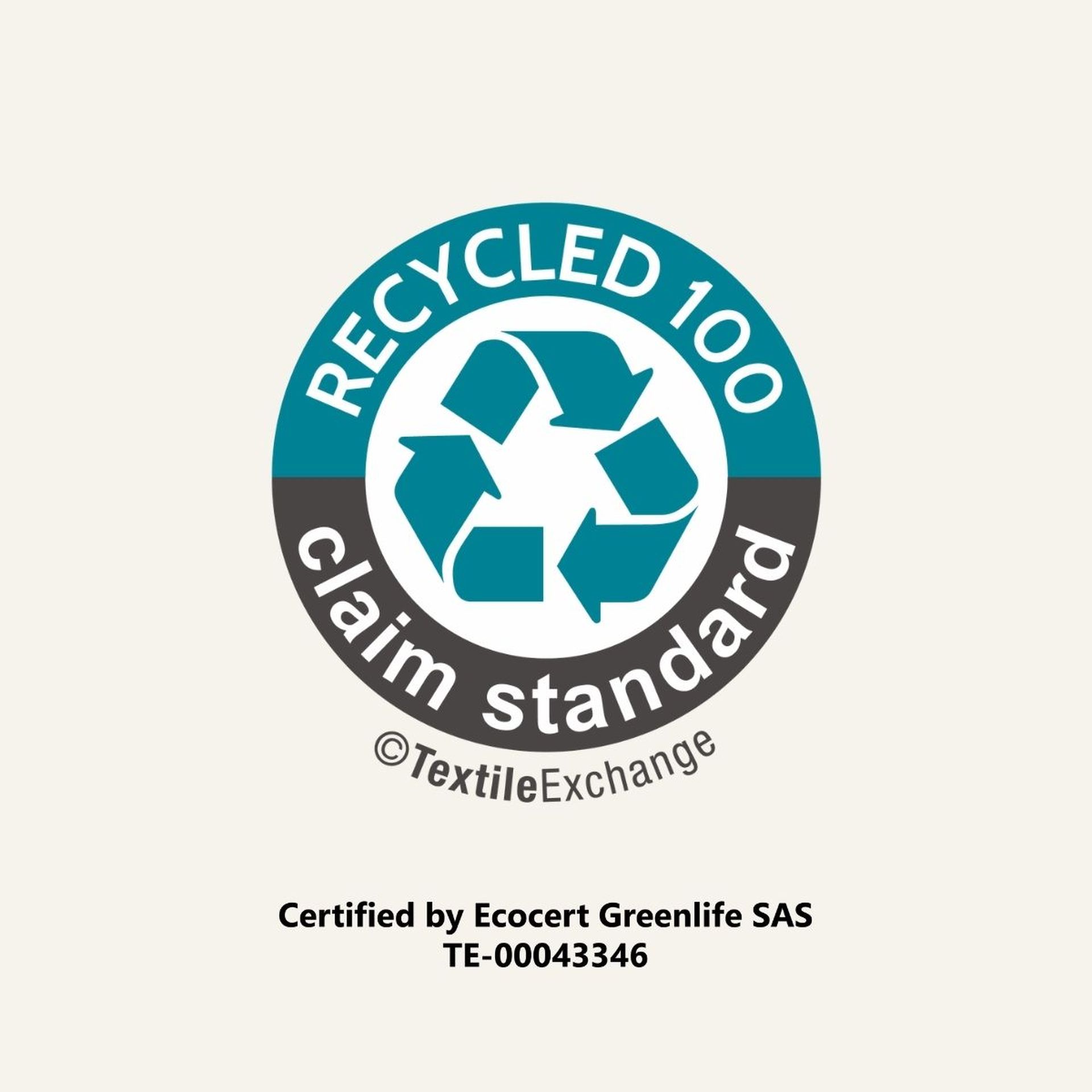 RCS 100 Logo