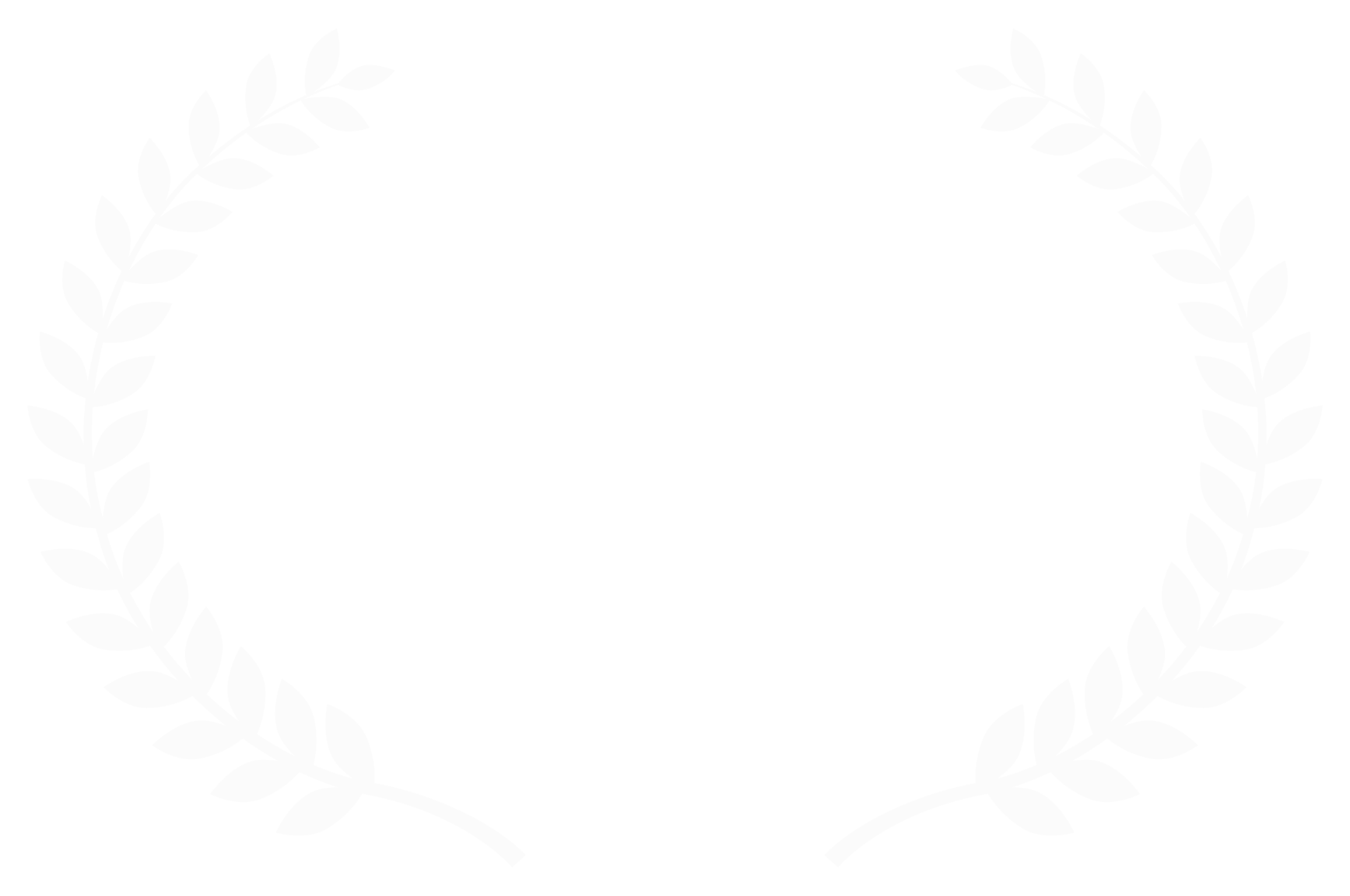 Timeline Section Hero Image 2