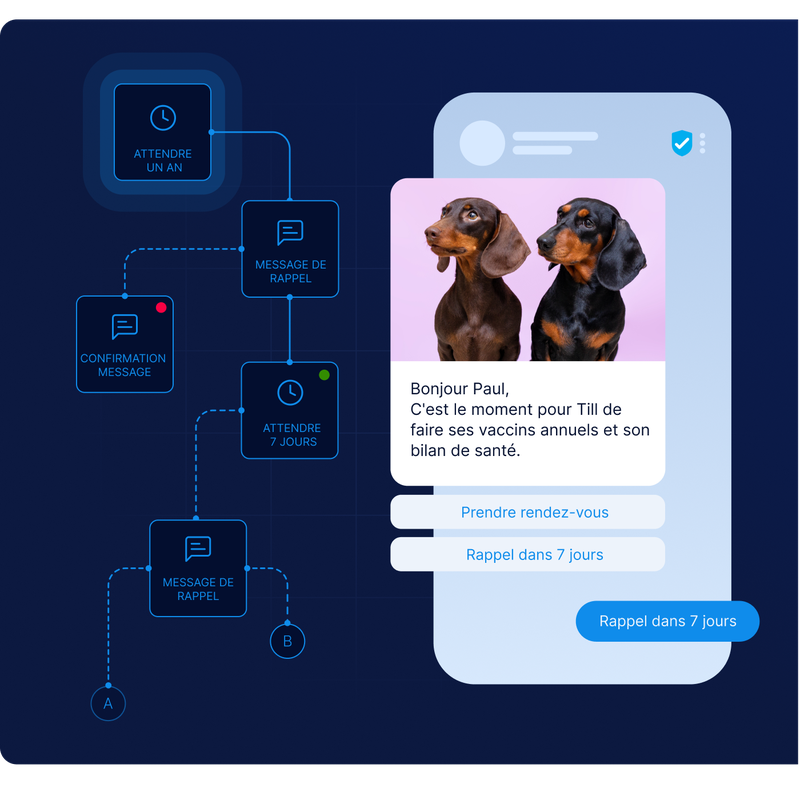 Un organigramme comportant des rappels et une interface de messagerie mettant en scène deux chiens. Des invites textuelles permettant de prendre des rendez-vous et de configurer des rappels s'affichent.