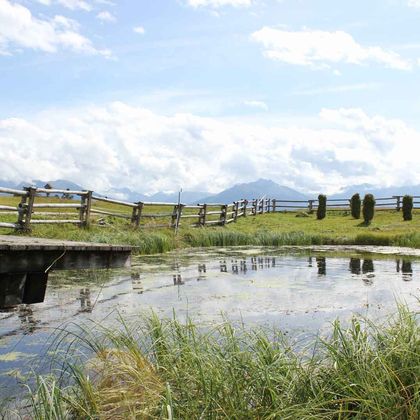 Climatepartner Naturschutzinitiative Karwendel