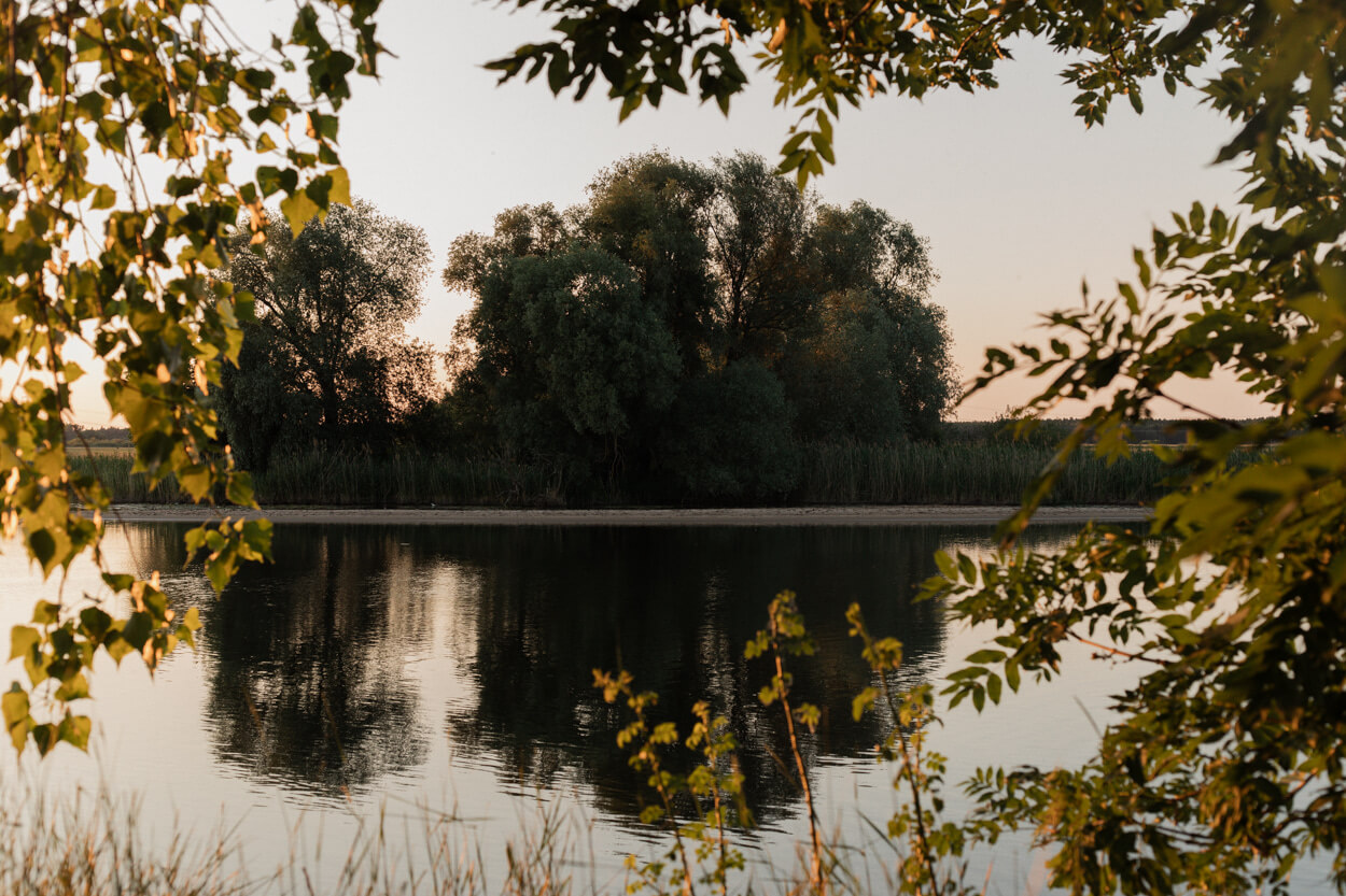 A serene lake scene with trees reflecting in the water, framed by leaves in the foreground, under a soft, golden sunset sky.