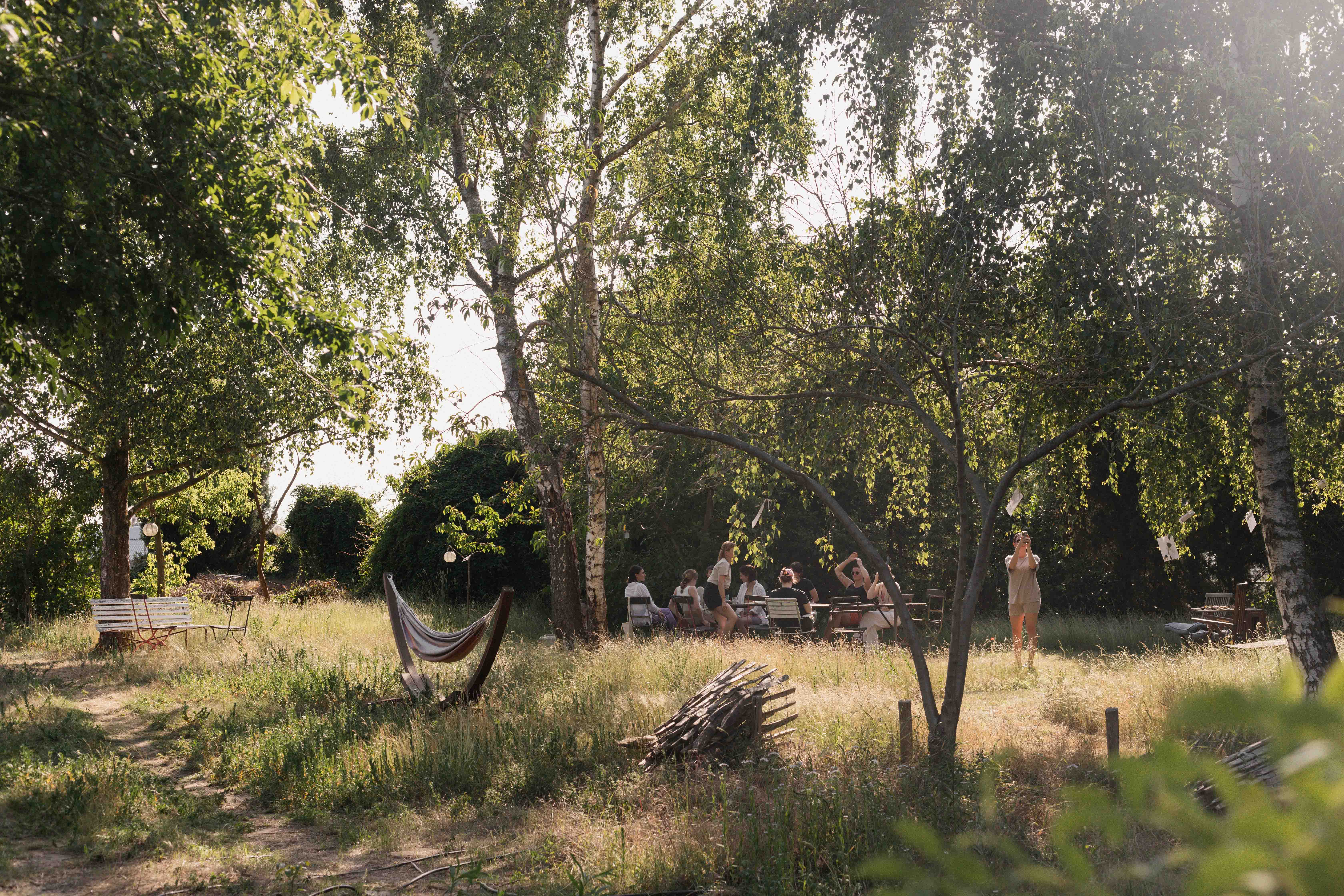A serene outdoor scene with people sitting at tables under trees, surrounded by greenery and sunlight filtering through the leaves.