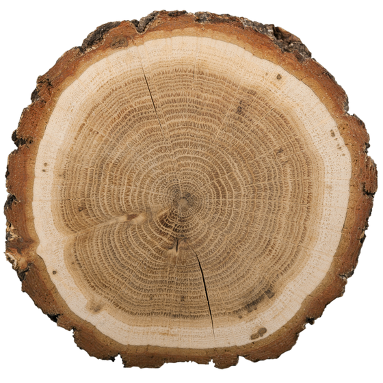 Oak Firewood