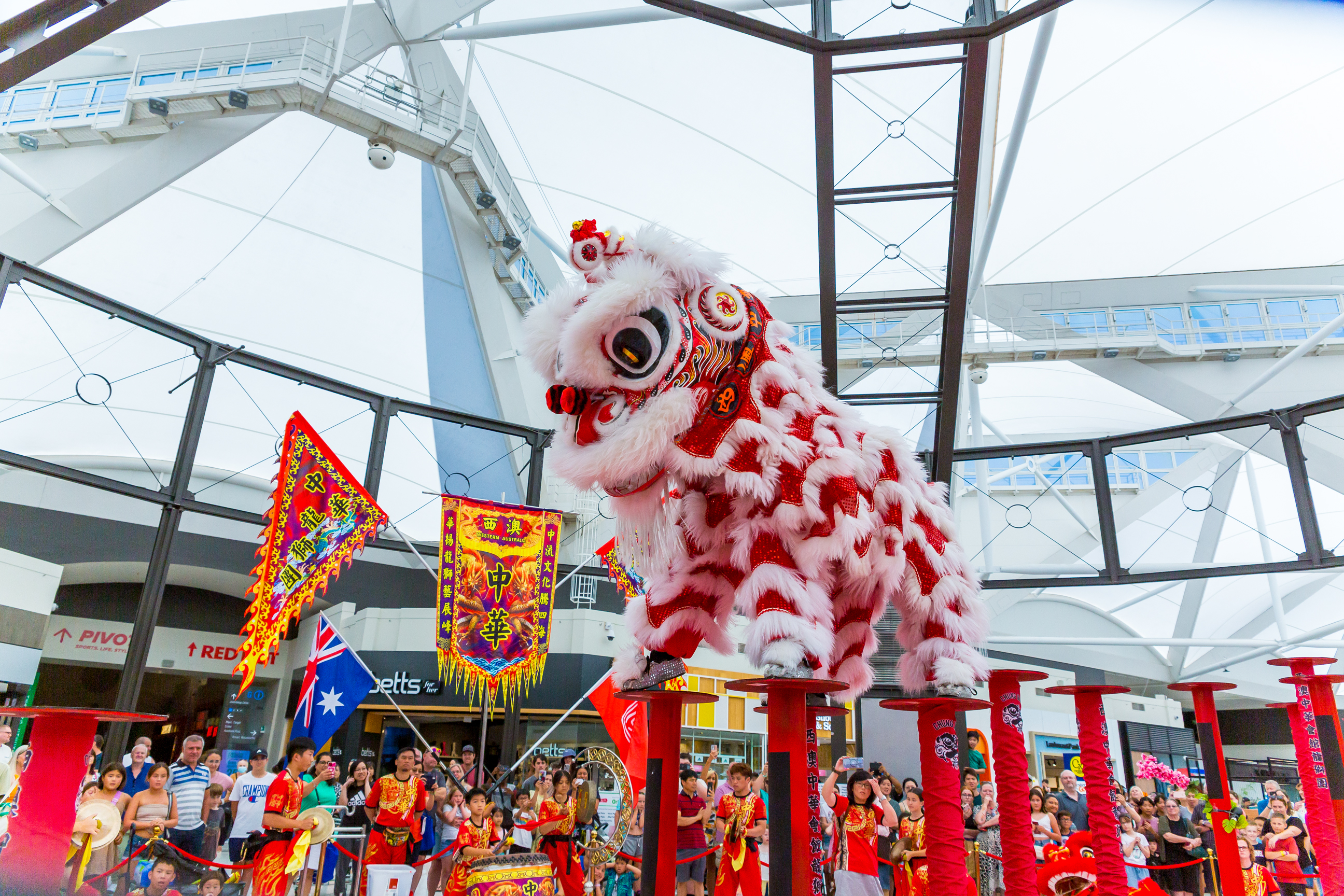 Lunar New Year: Jong Performance