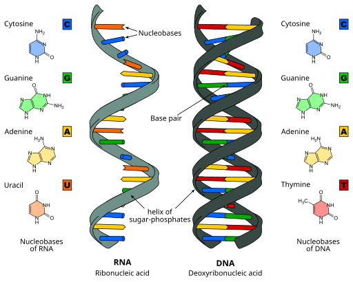 Van Darwin tot DNA