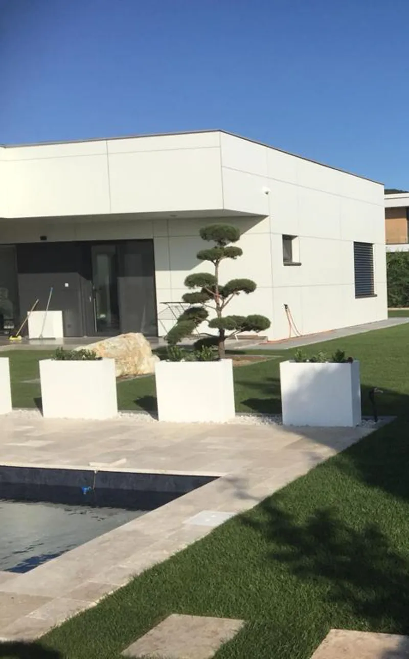 Modern house with white exterior, a manicured lawn, stone path, and a pruned tree in a planter. Clear blue sky in the background.